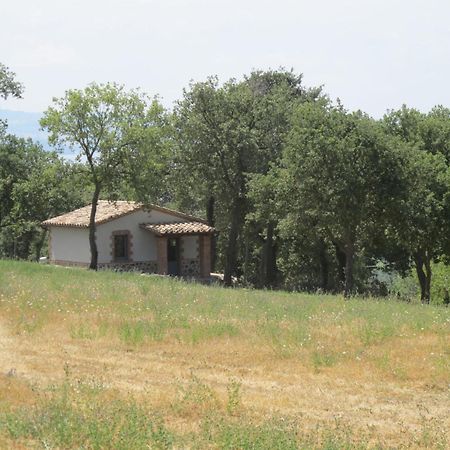Holiday Home Il Podere Del Lago By Interhome 볼세나 외부 사진