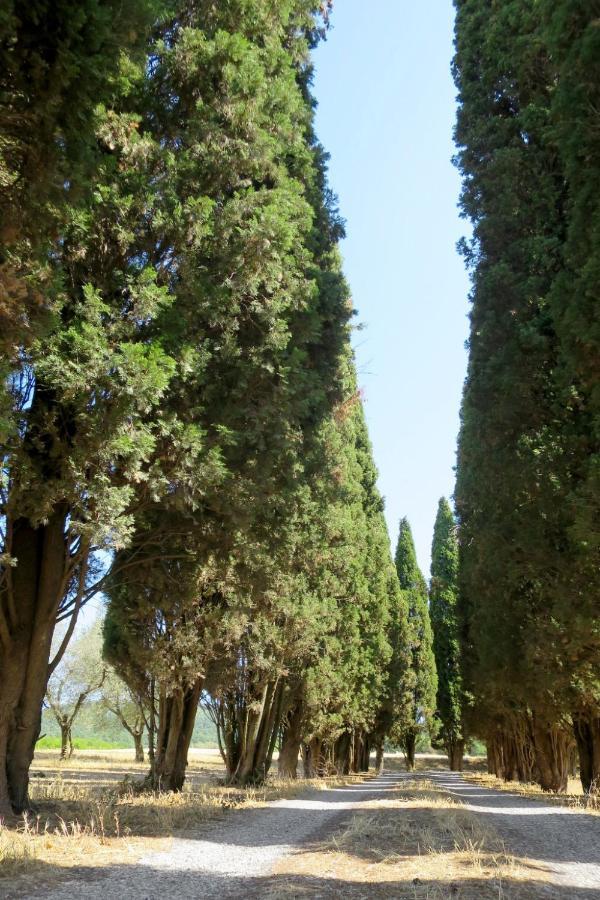 Holiday Home Il Podere Del Lago By Interhome 볼세나 외부 사진